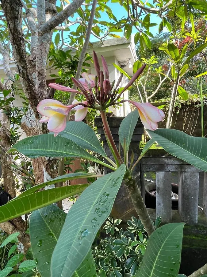 Homestay Villa Gekyu Jimbaran